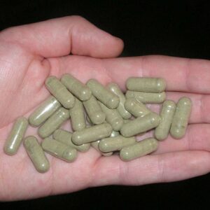 Buy Mescaline Capsule